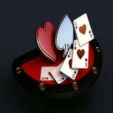 bet555
